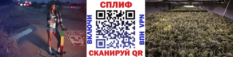 Бошки марихуана конопля  Набережные Челны 